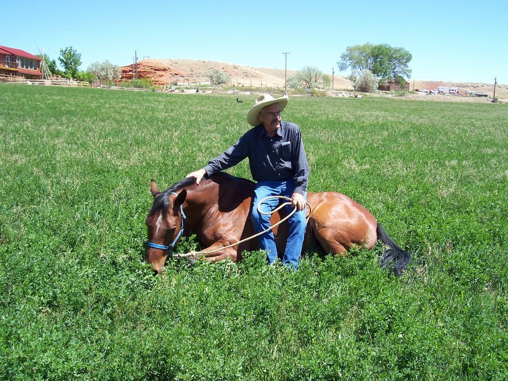 K3 Guest Ranch Otel Cody Dış mekan fotoğraf