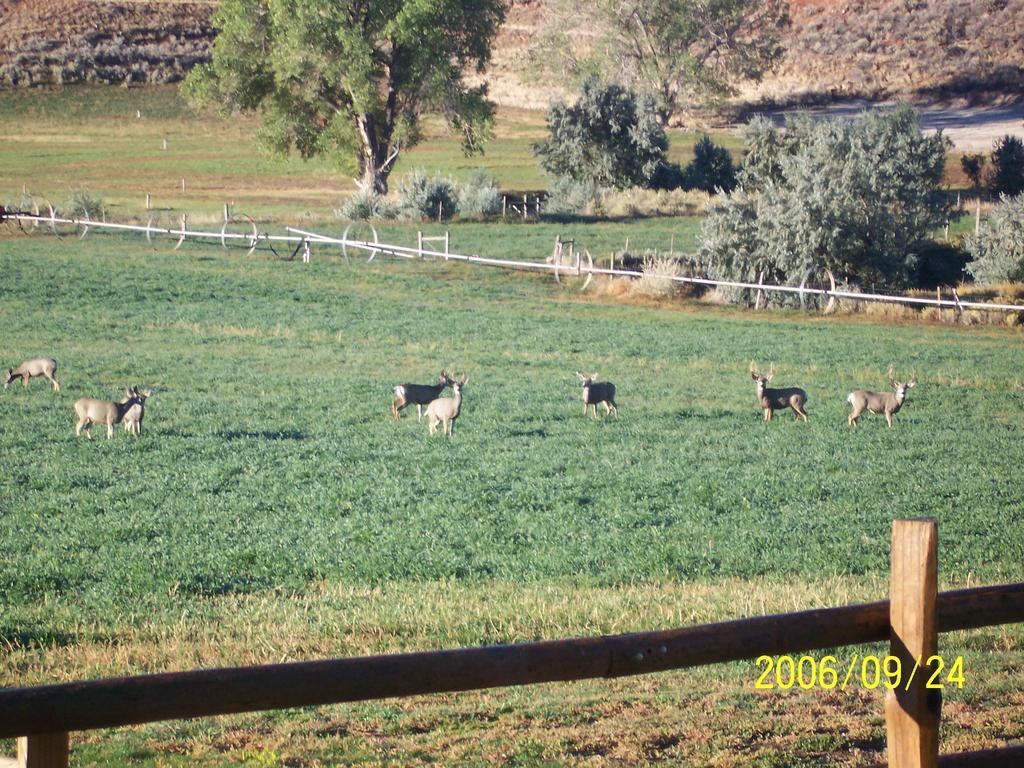 K3 Guest Ranch Otel Cody Dış mekan fotoğraf